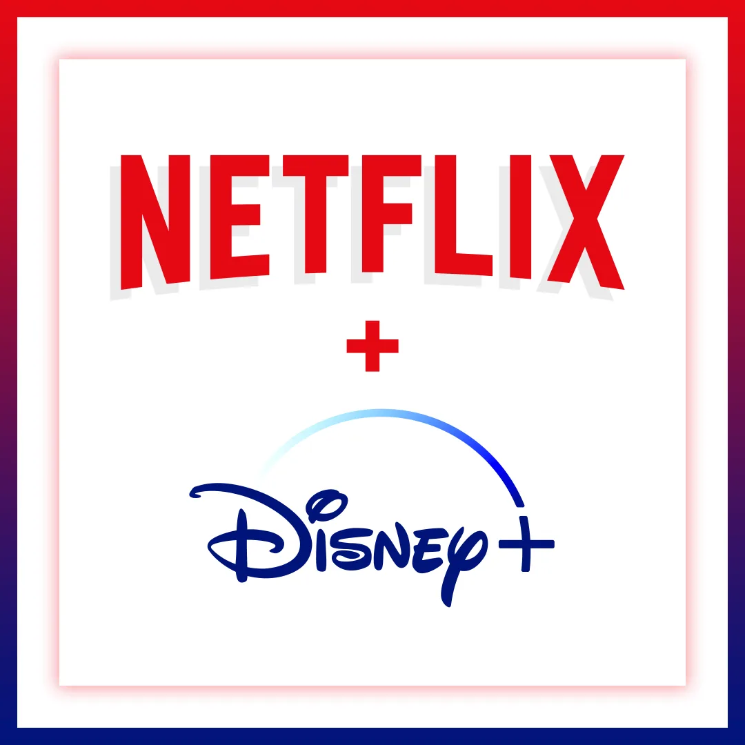 Netflix Premium + Disney Plus USA combo subscription Bangladesh | Techiyan